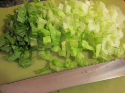 See how nice and thinly sliced the lettuce is? This is no time for giant hunks of Romaine.